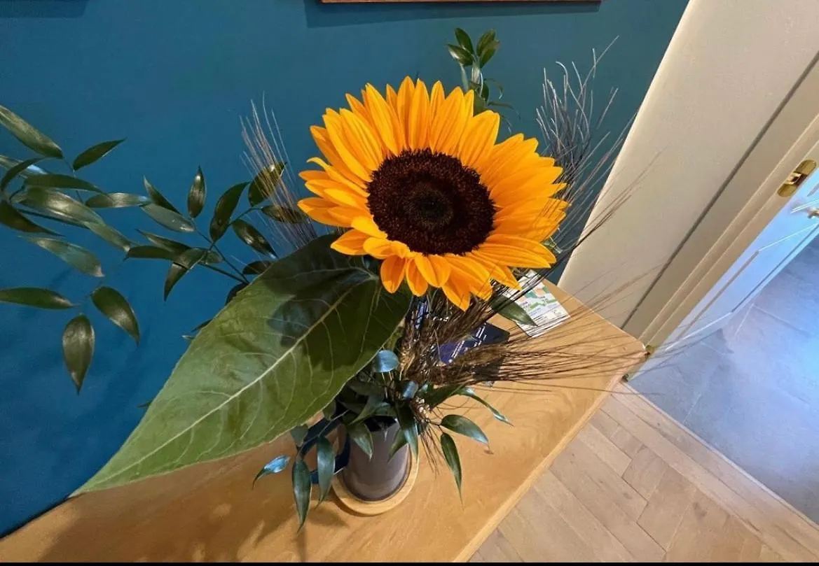 Isolotto Guest House Porto Ercole  0*, Porto Ercole (Grosseto) Italie